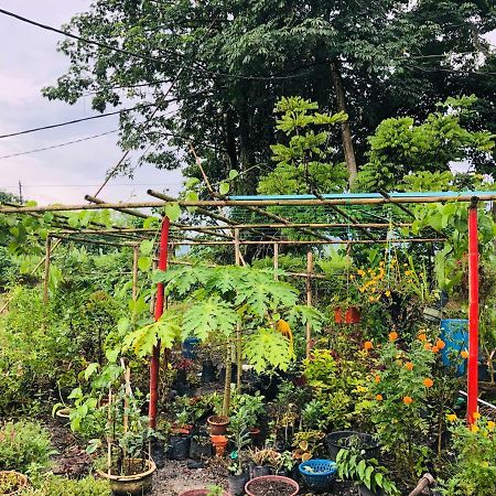 Kampong Salak Atocha Homestay - Terong@Taiping מראה חיצוני תמונה