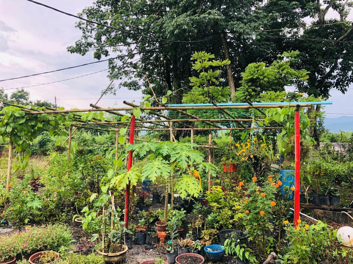 Kampong Salak Atocha Homestay - Terong@Taiping מראה חיצוני תמונה